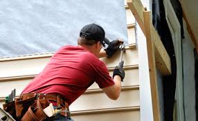 Best Custom Siding Design  in Palm Valley, FL